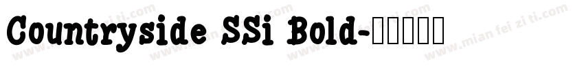 Countryside SSi Bold字体转换